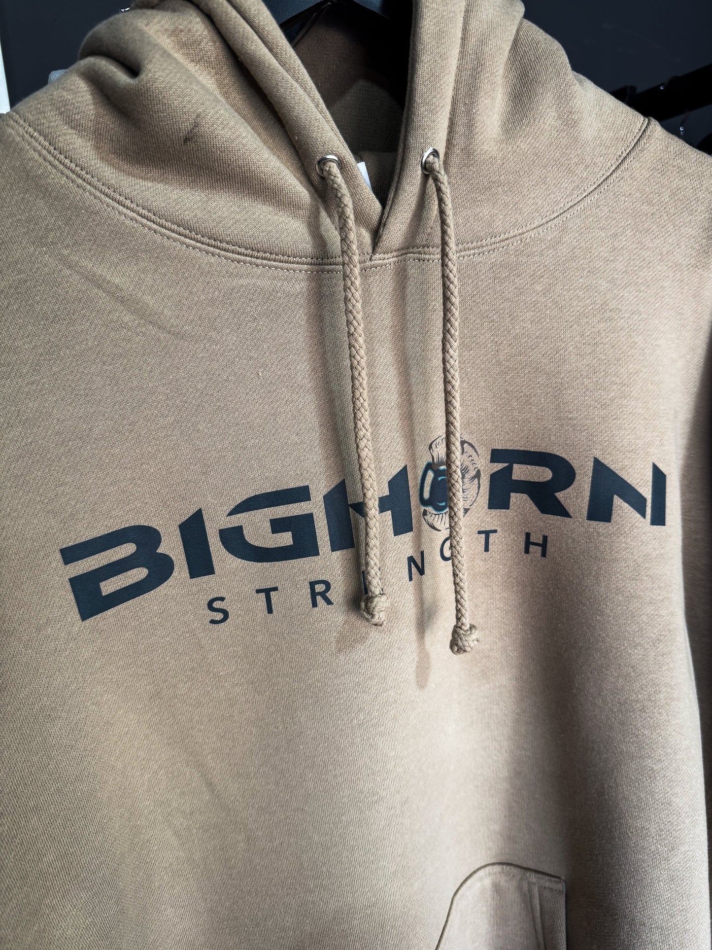 The Legacy Hoodie (Sand)